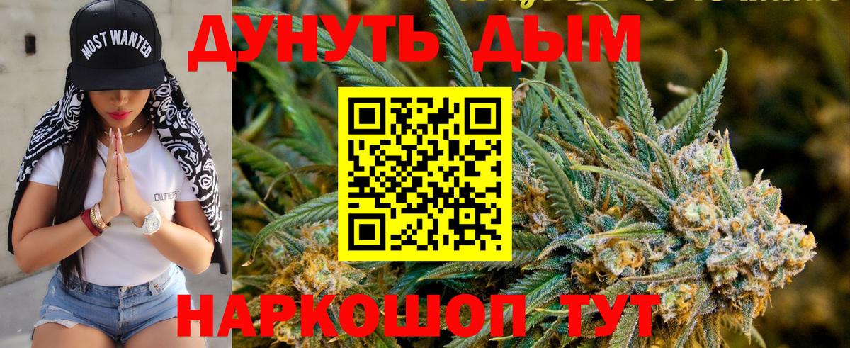 Бердск  МАРИХУАНА семена  Вход с VPN  Бошки марихуана VHQ 